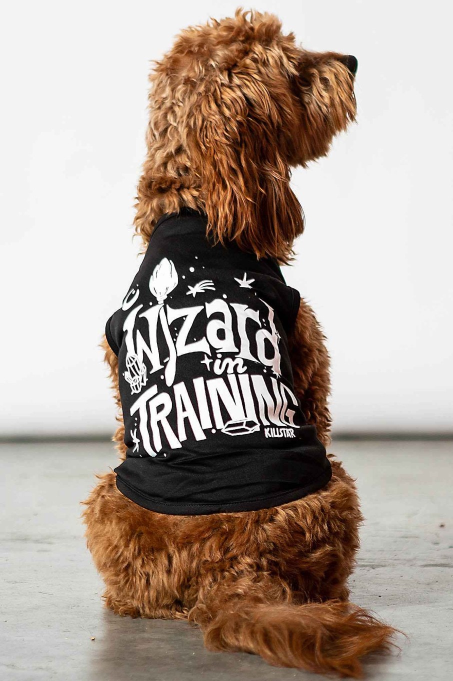 Home KILLSTAR Pets | Wizard In Training Pet Vest Black