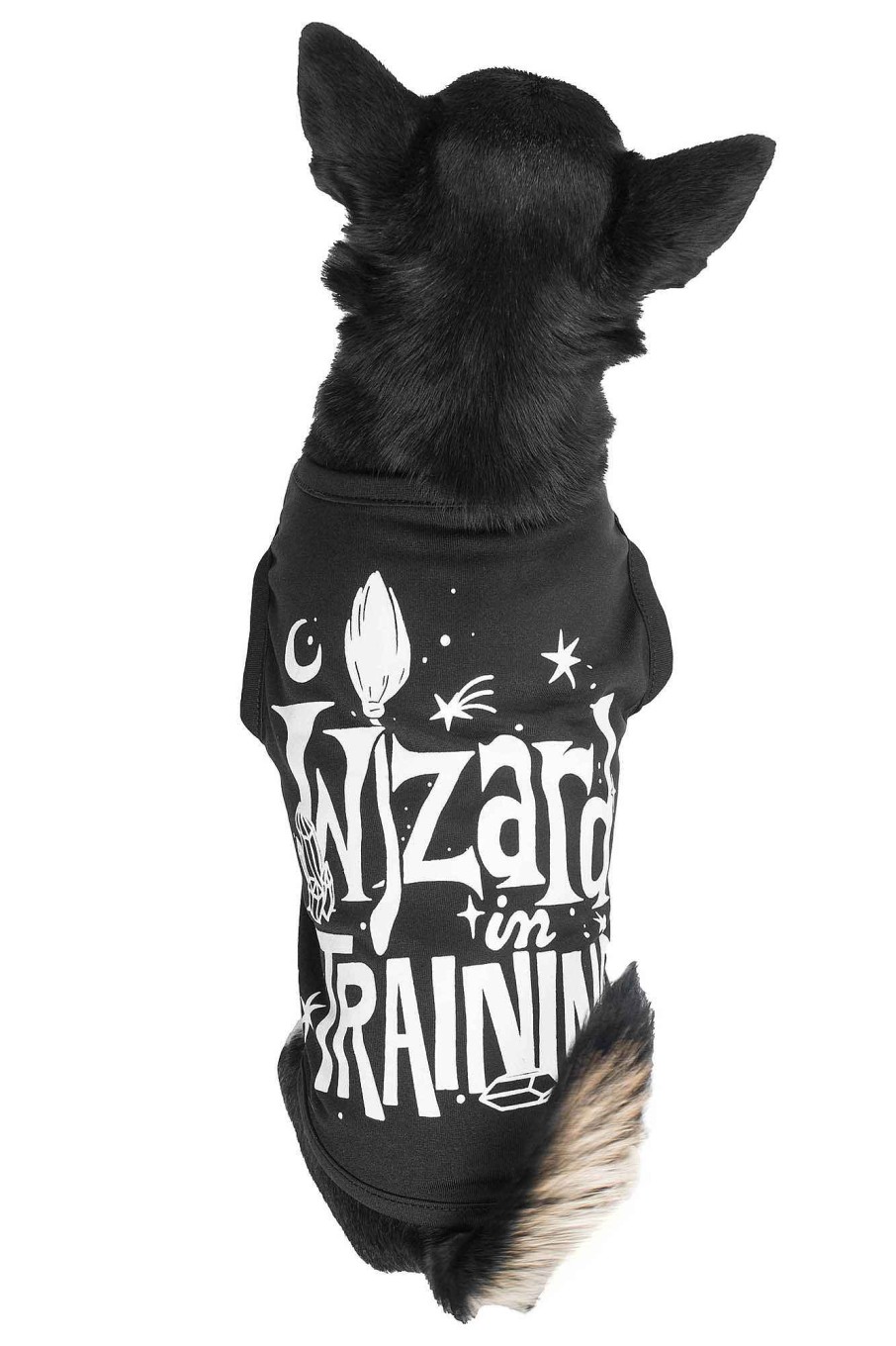 Home KILLSTAR Pets | Wizard In Training Pet Vest Black