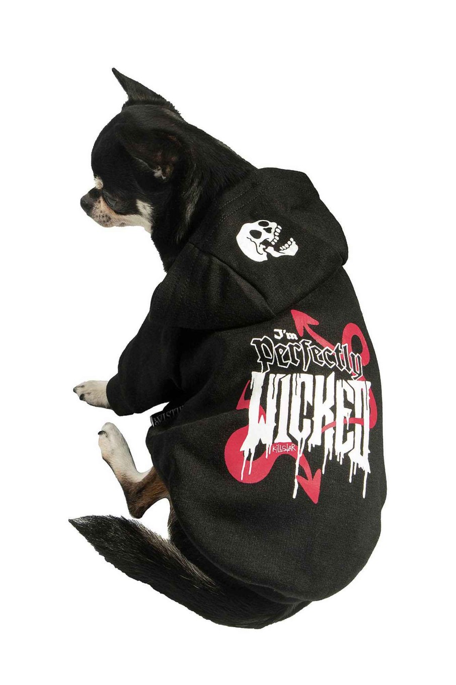 Home KILLSTAR Pets | Wicked Pet Hoodie Black