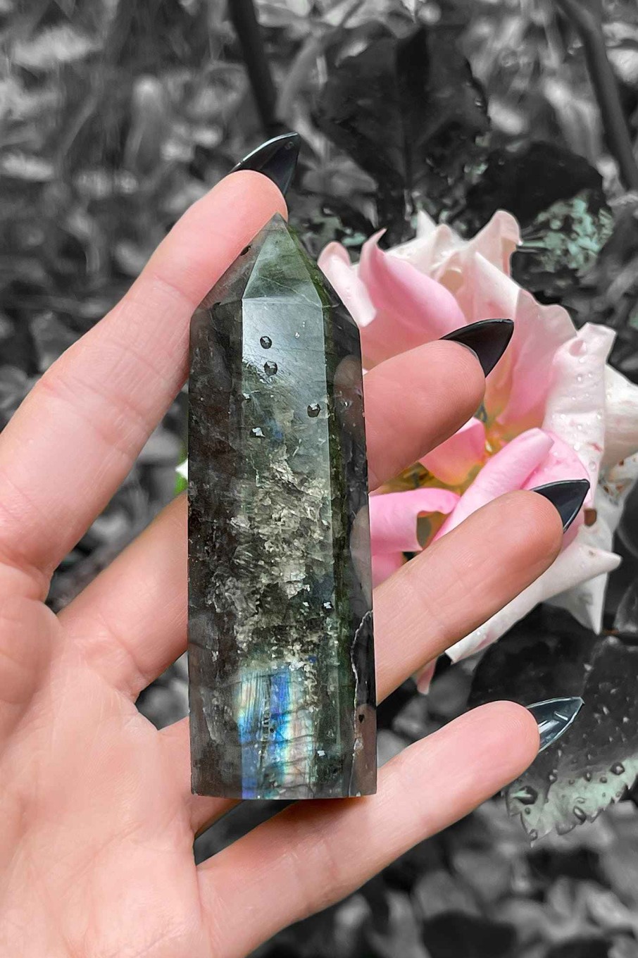 Home KILLSTAR Crystals & Divination Tools | Labradorite Crystal Multi