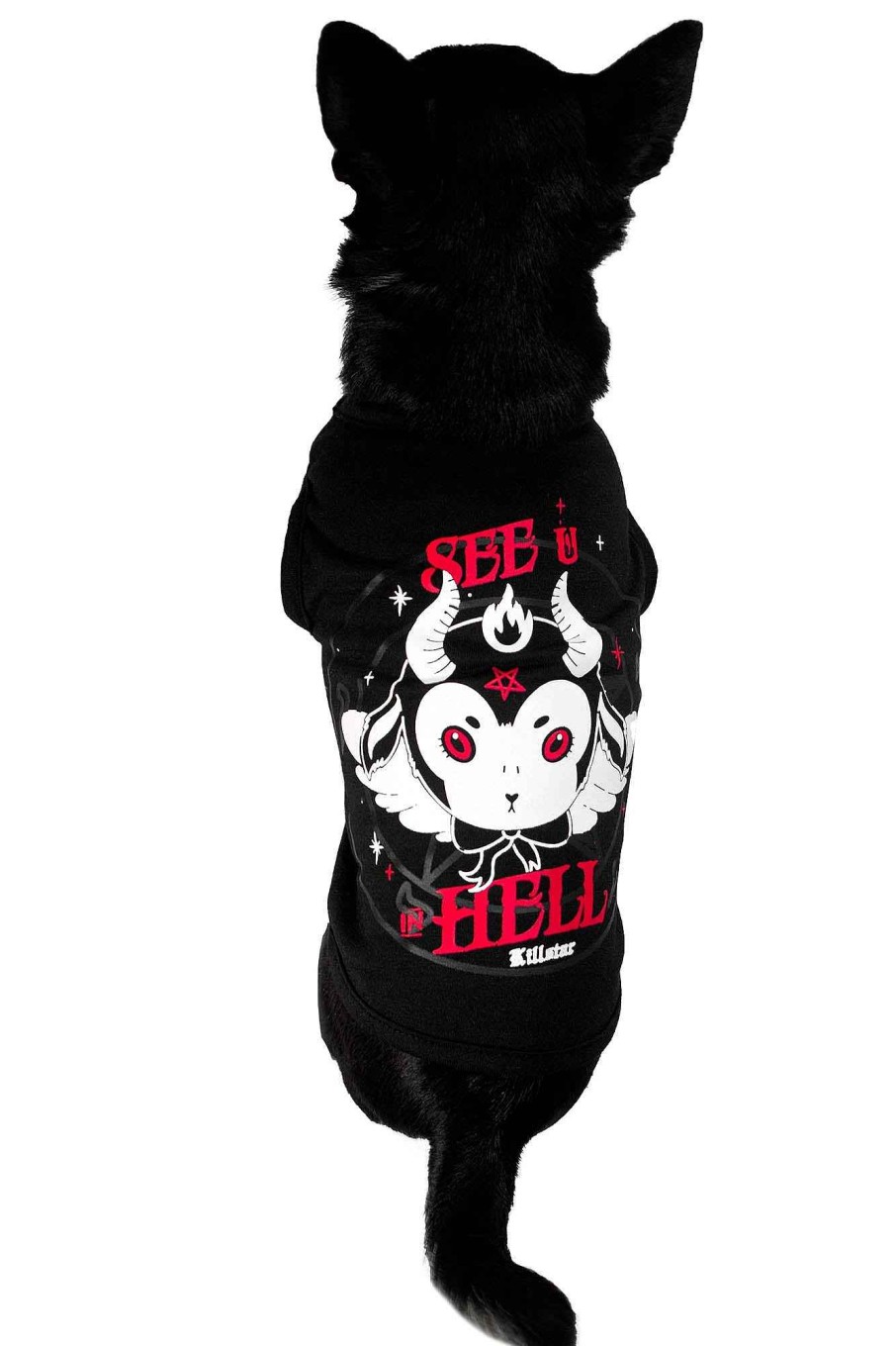 Home KILLSTAR Pets | See U In Hell Pet Vest Black