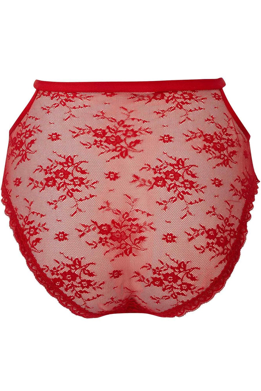 Plus KILLSTAR Intimates | Sheer Evil Panty [Scarlet] [Plus] Red