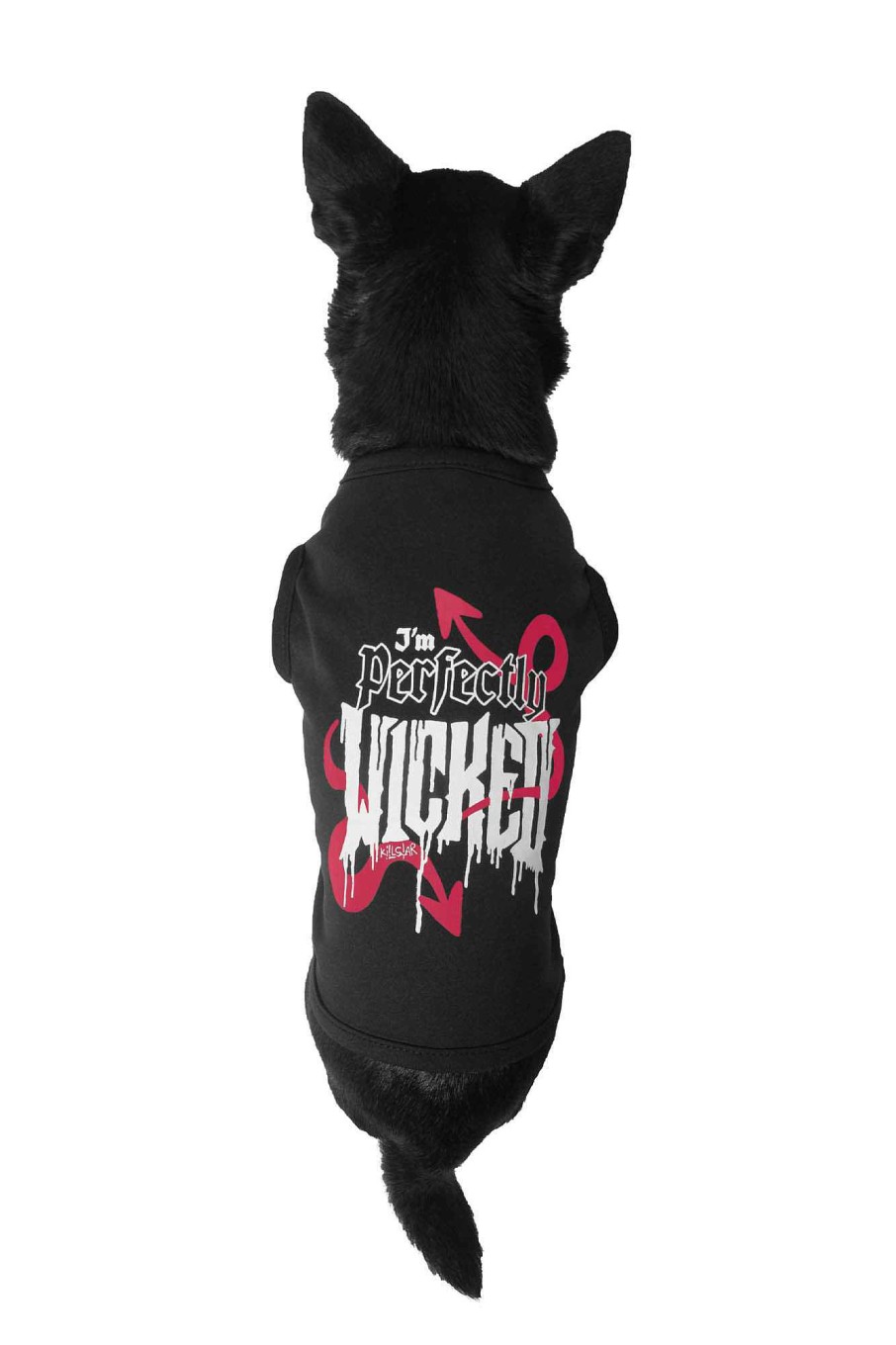 Home KILLSTAR Pets | Wicked Pet Vest Black