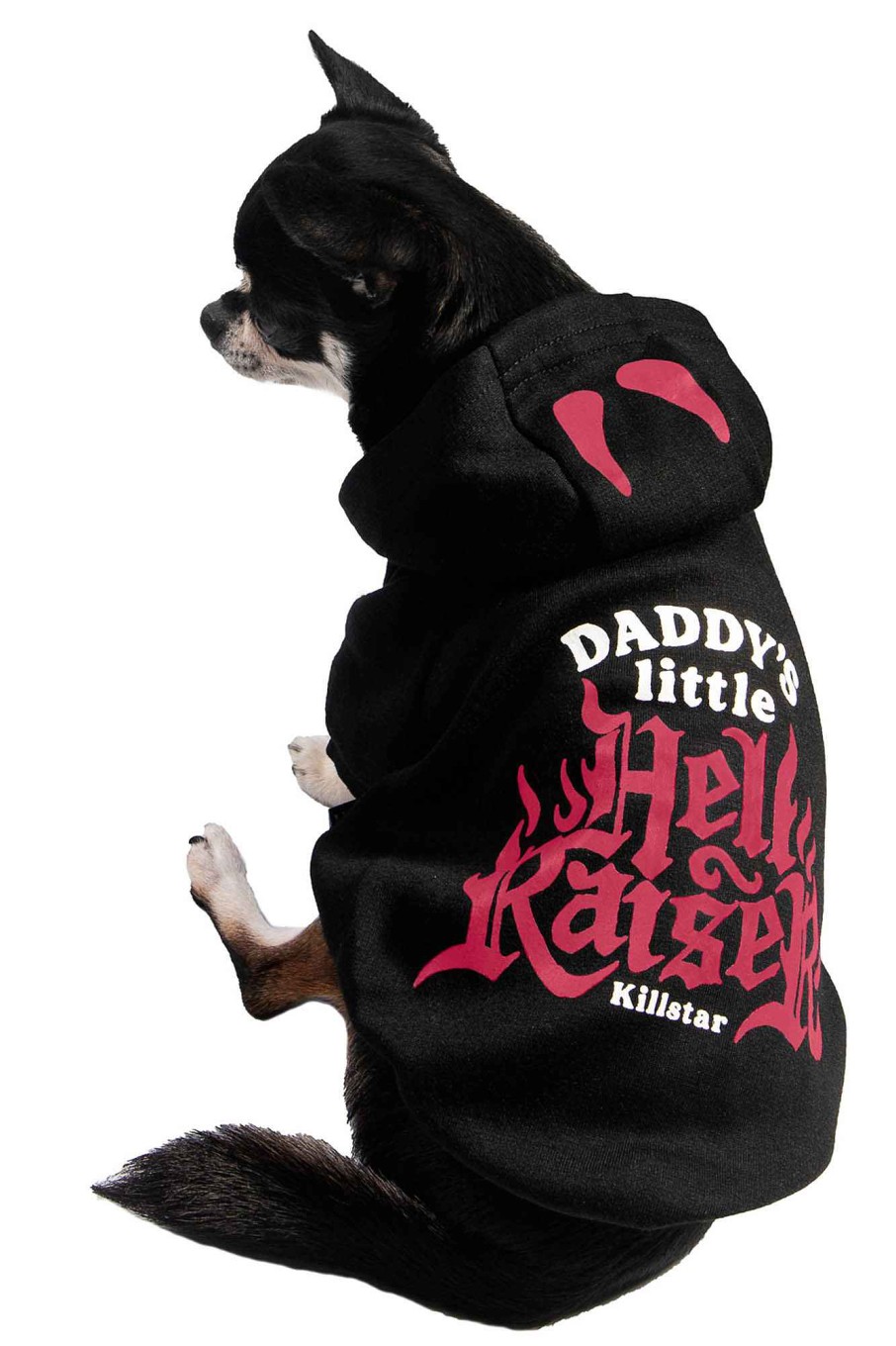 Home KILLSTAR Pets | Daddy'S Hellraiser Pet Hoodie Black