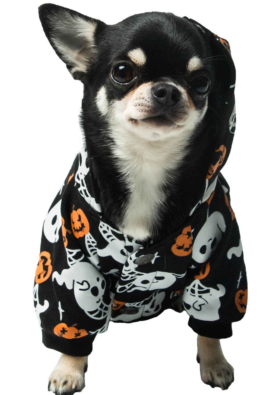 Home KILLSTAR Pets | Haunted Pumpkin Pet Hoodie Black