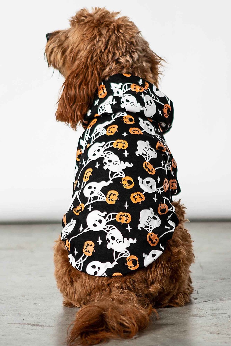 Home KILLSTAR Pets | Haunted Pumpkin Pet Hoodie Black