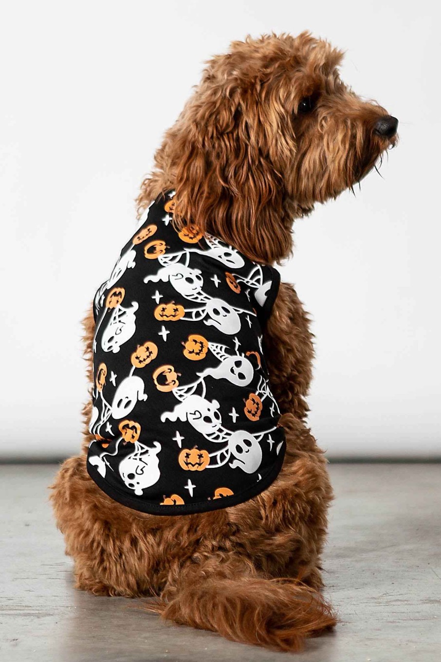 Home KILLSTAR Pets | Haunted Pumpkin Pet Vest Black