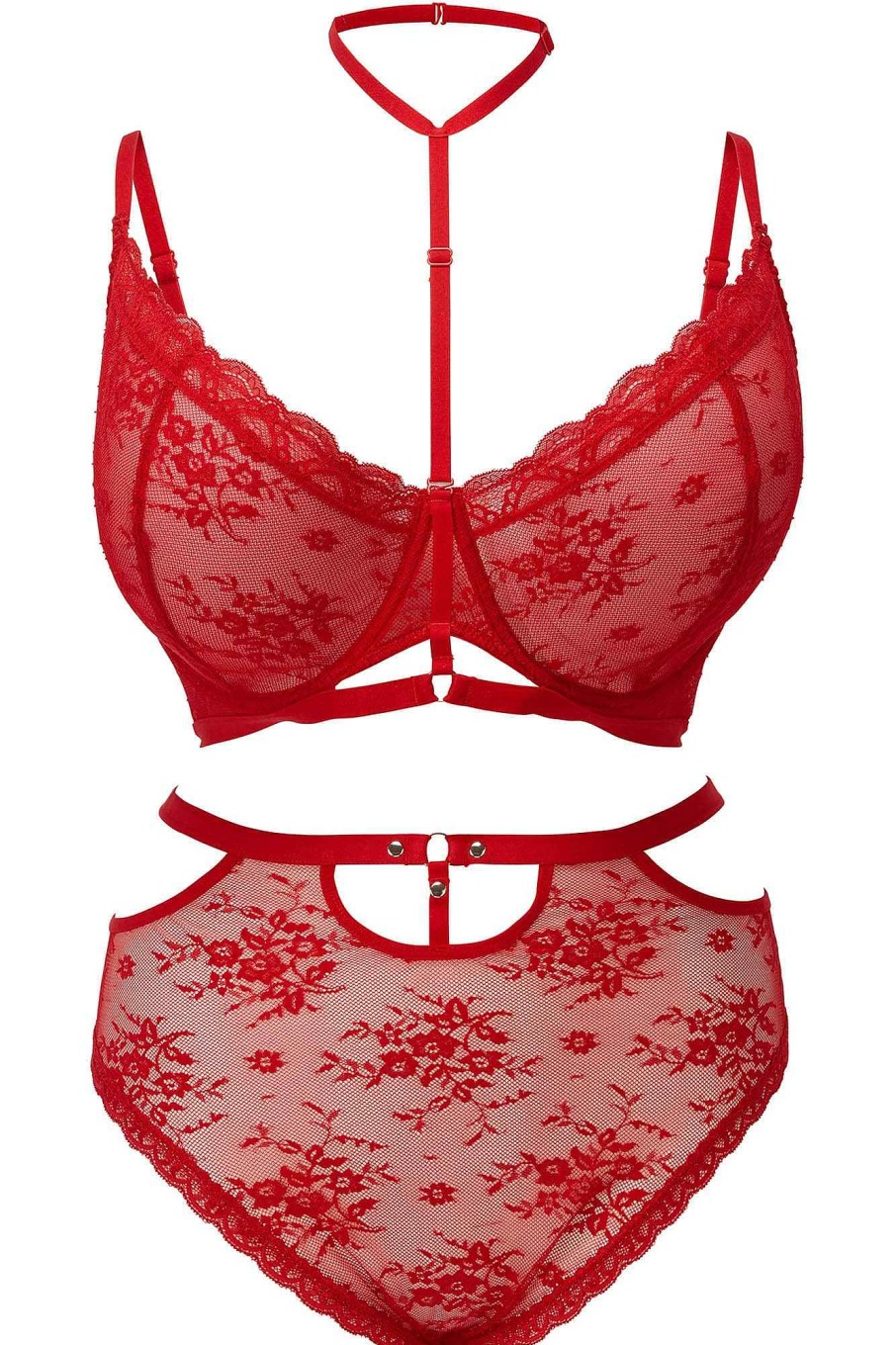 Plus KILLSTAR Intimates | Sheer Evil Panty [Scarlet] [Plus] Red