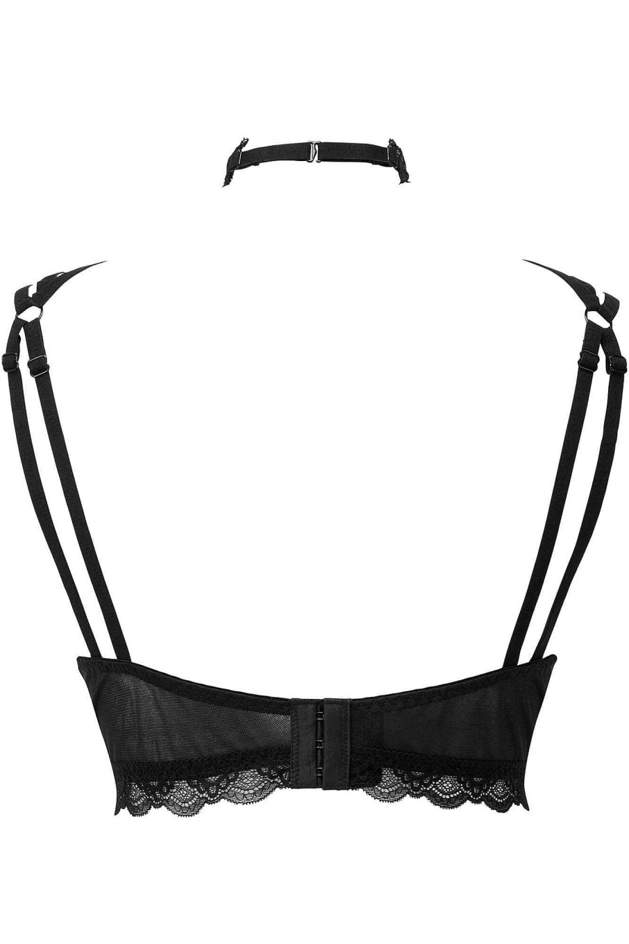 Plus KILLSTAR Intimates | She Bites Lace Bra [B] [Plus] Black