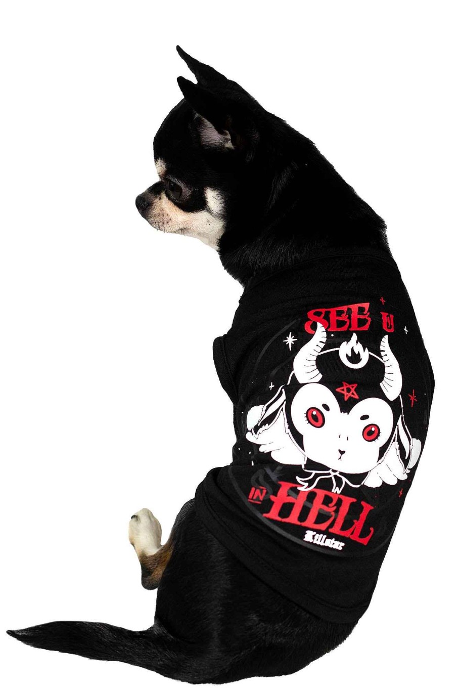 Home KILLSTAR Pets | See U In Hell Pet Vest Black