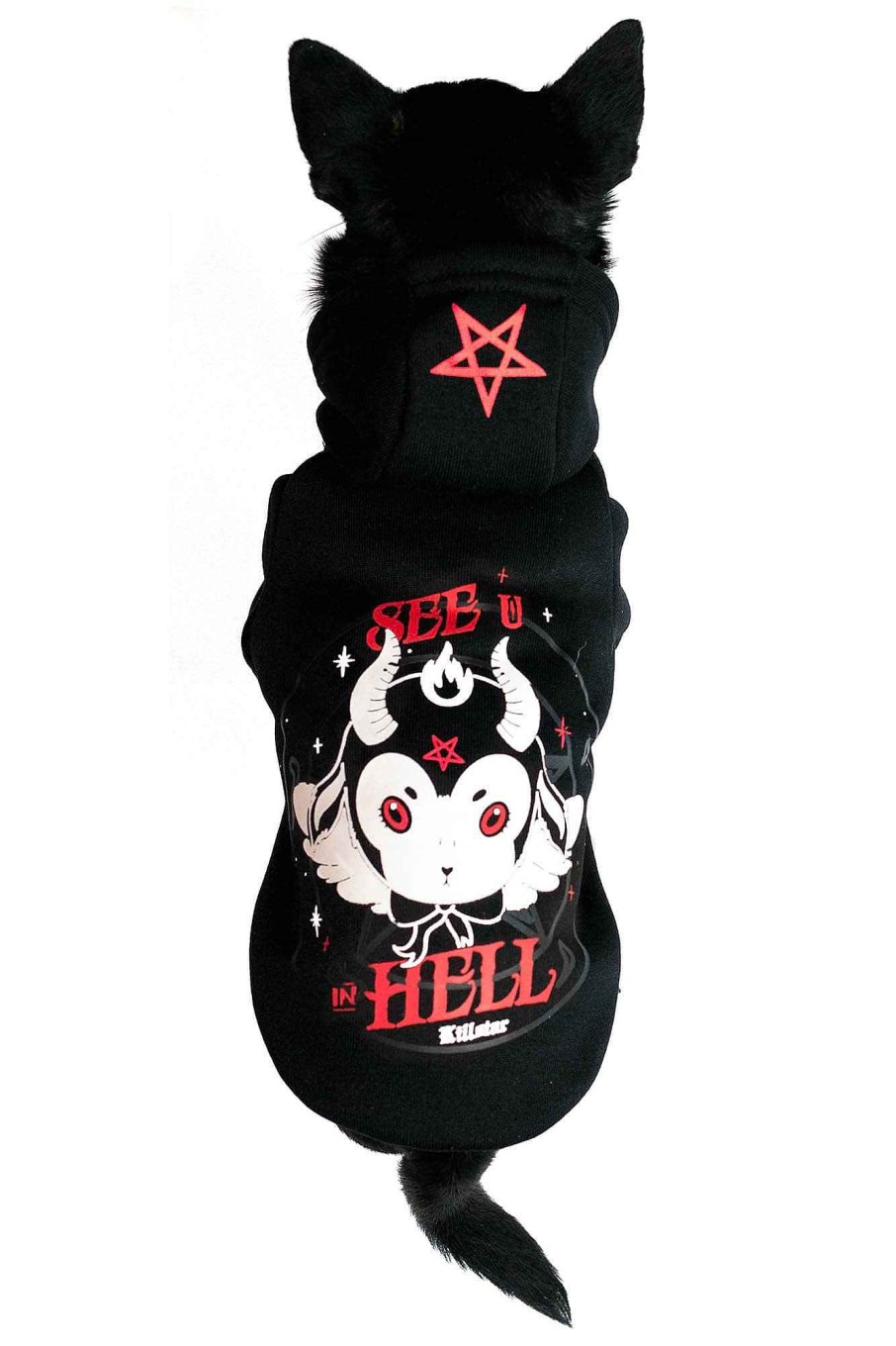 Home KILLSTAR Pets | See U In Hell Pet Hoodie Black