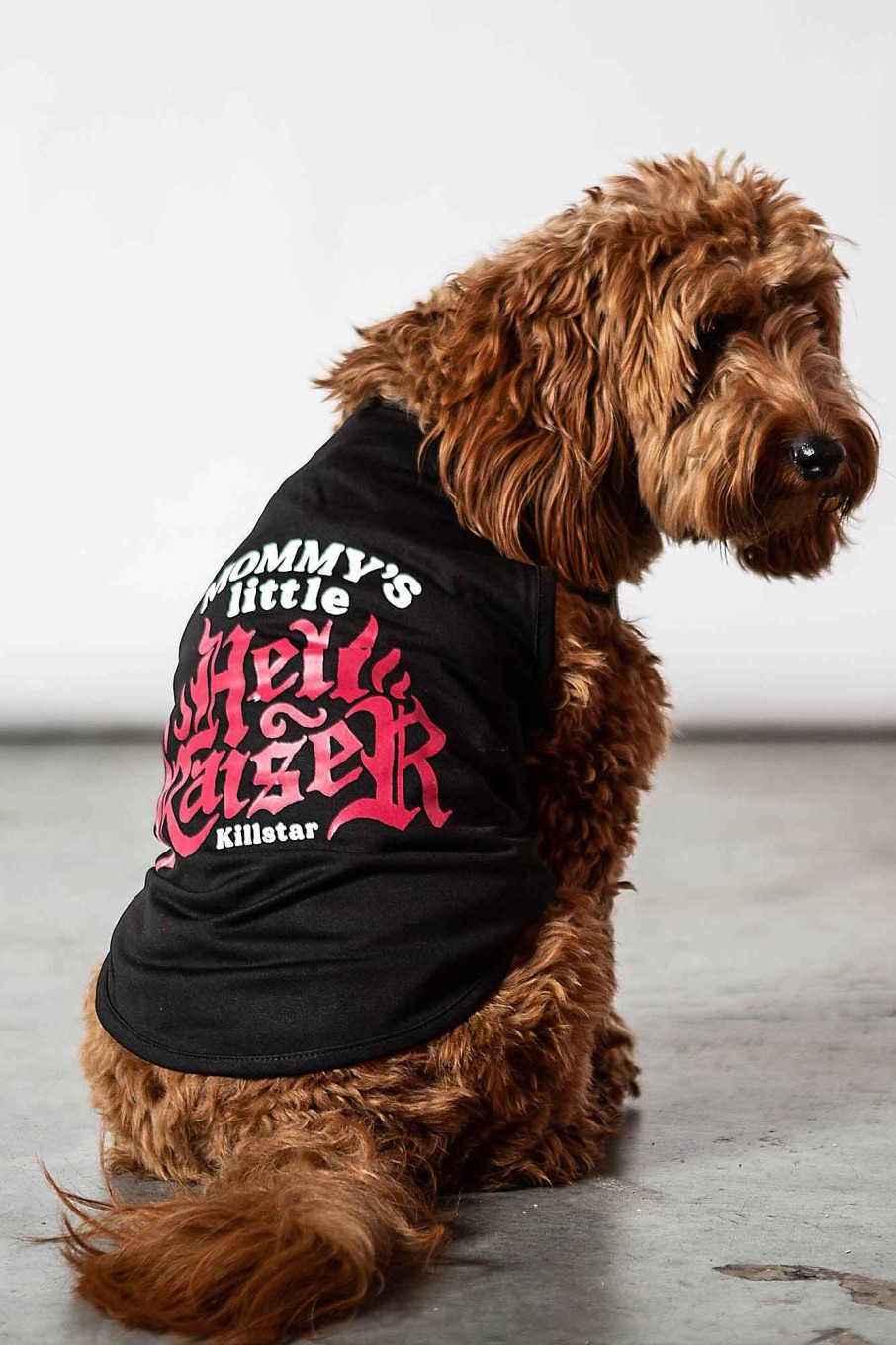 Home KILLSTAR Pets | Mommy'S Hellraiser Pet Vest Black