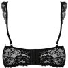 Plus KILLSTAR Intimates | Wild Rose Mesh Bra [Plus] Black